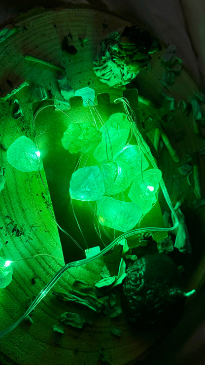 Luces Led Encantadas // Mineral de Jade