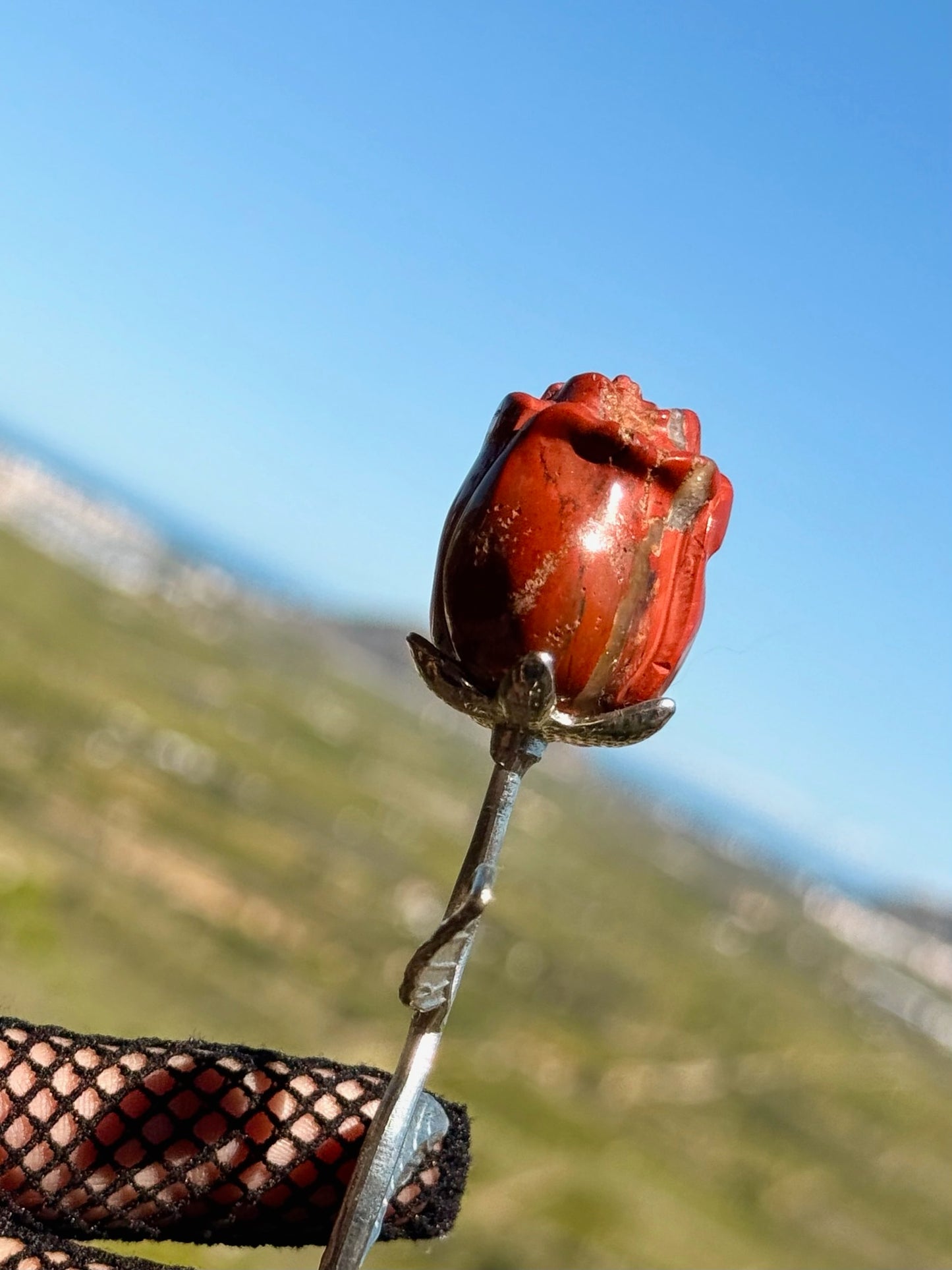 La Rosa del Coraje y la Vitalidad - Jaspe Rojo -  Mineral Natural
