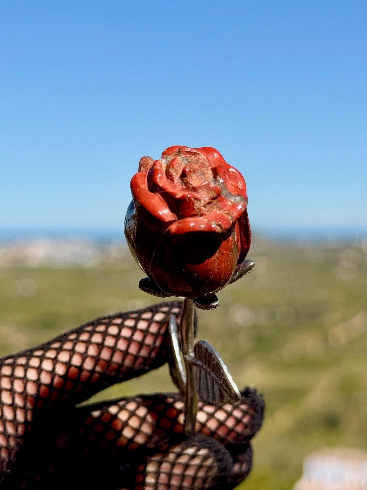 La Rosa del Coraje y la Vitalidad - Jaspe Rojo -  Mineral Natural
