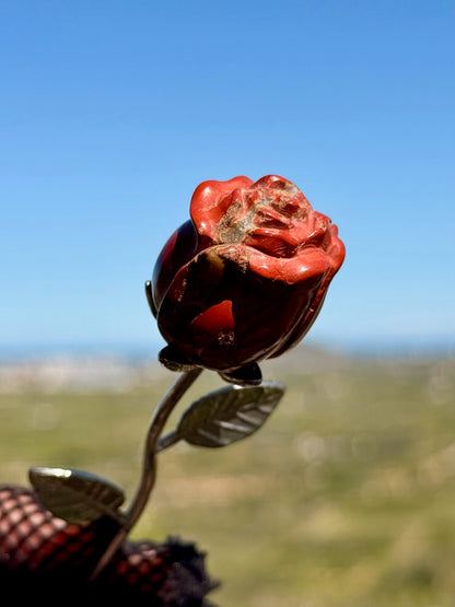 La Rosa del Coraje y la Vitalidad - Jaspe Rojo -  Mineral Natural