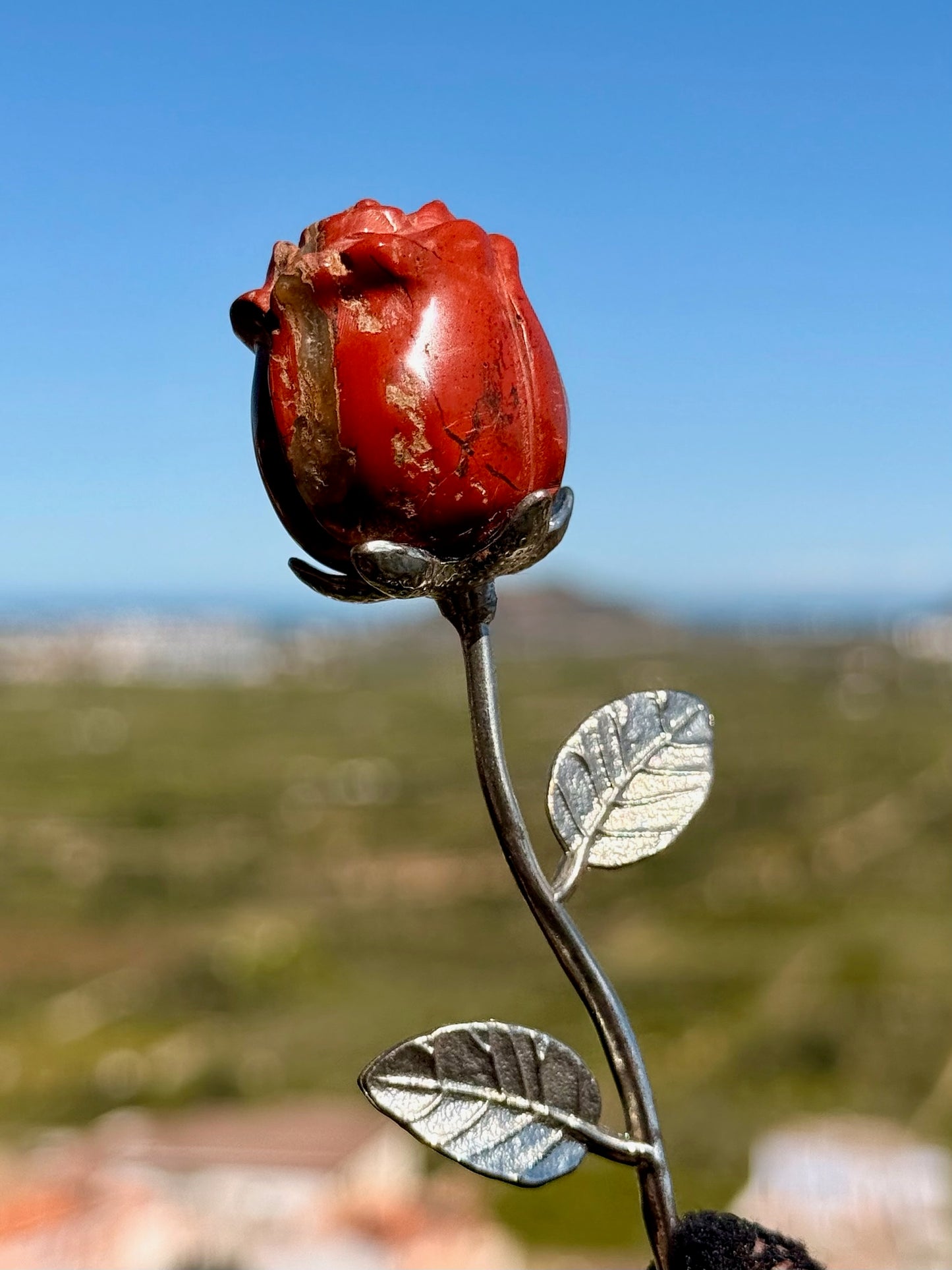 La Rosa del Coraje y la Vitalidad - Jaspe Rojo -  Mineral Natural