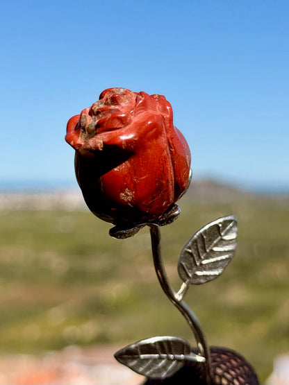 La Rosa del Coraje y la Vitalidad - Jaspe Rojo -  Mineral Natural